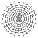 spiderweb